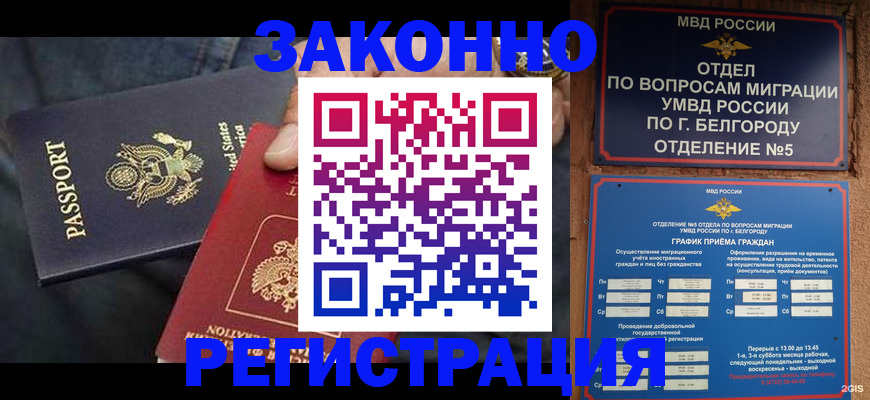 прописка законно в Мамадыше